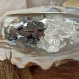 Abalone schelp met op- en ontlaadset | Marga Jacobs