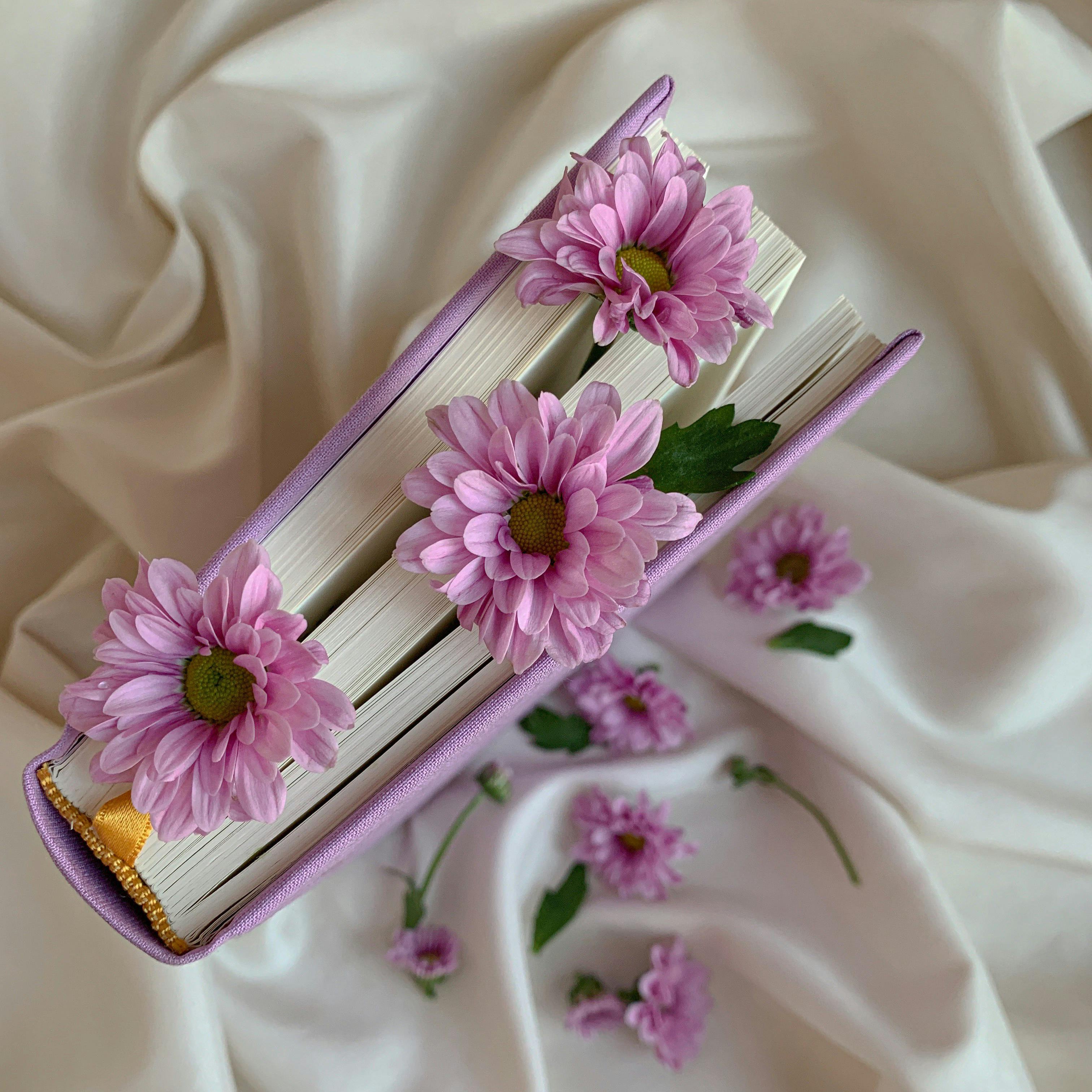 Paars notitieboek tussen zachte stoffen en roze bloemen, symbool voor intuïtieve inzichten en persoonlijke groei tijdens een coaching sessie.