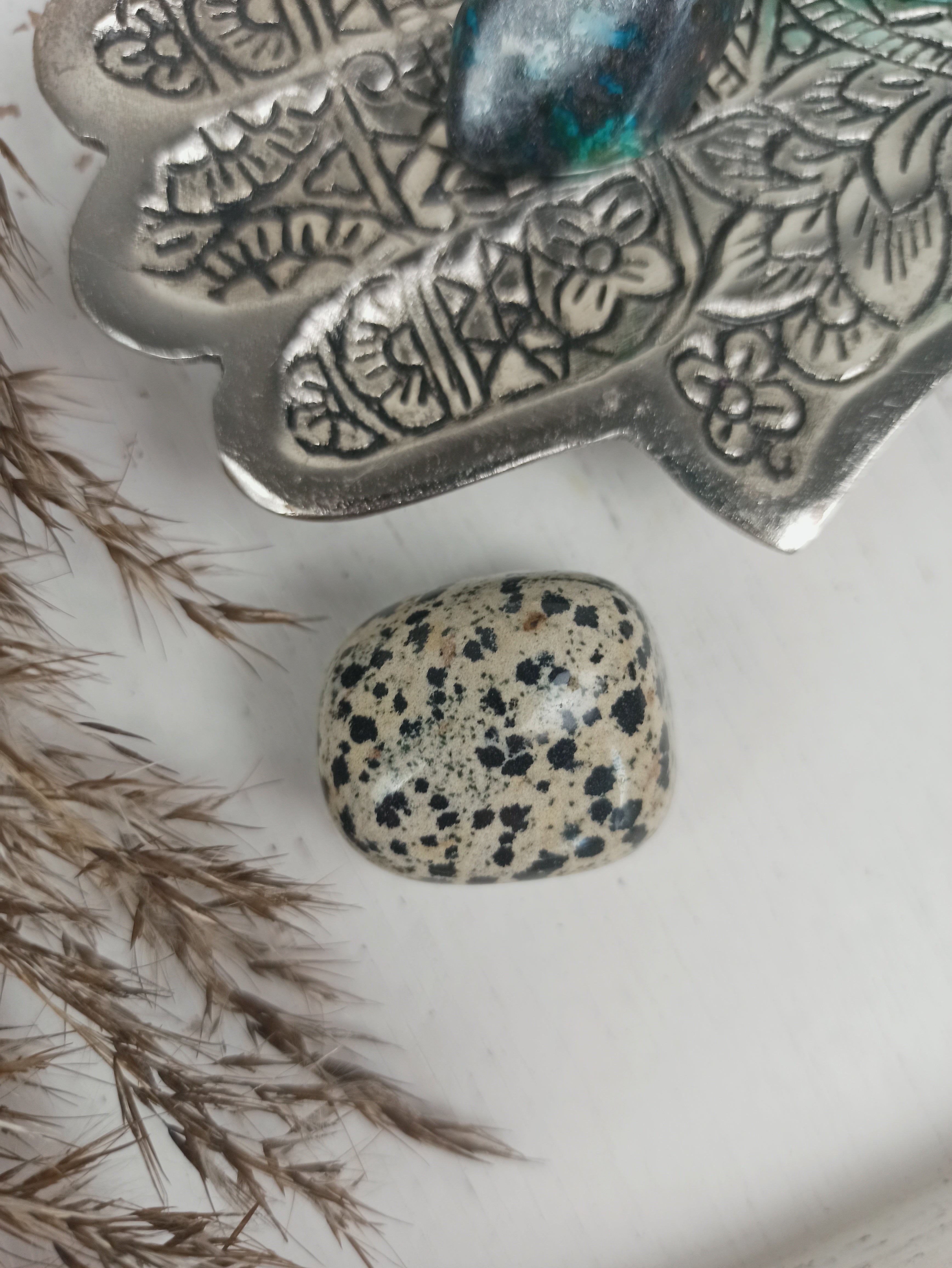 Dalmatiër jaspis trommelstenen | Marga Jacobs