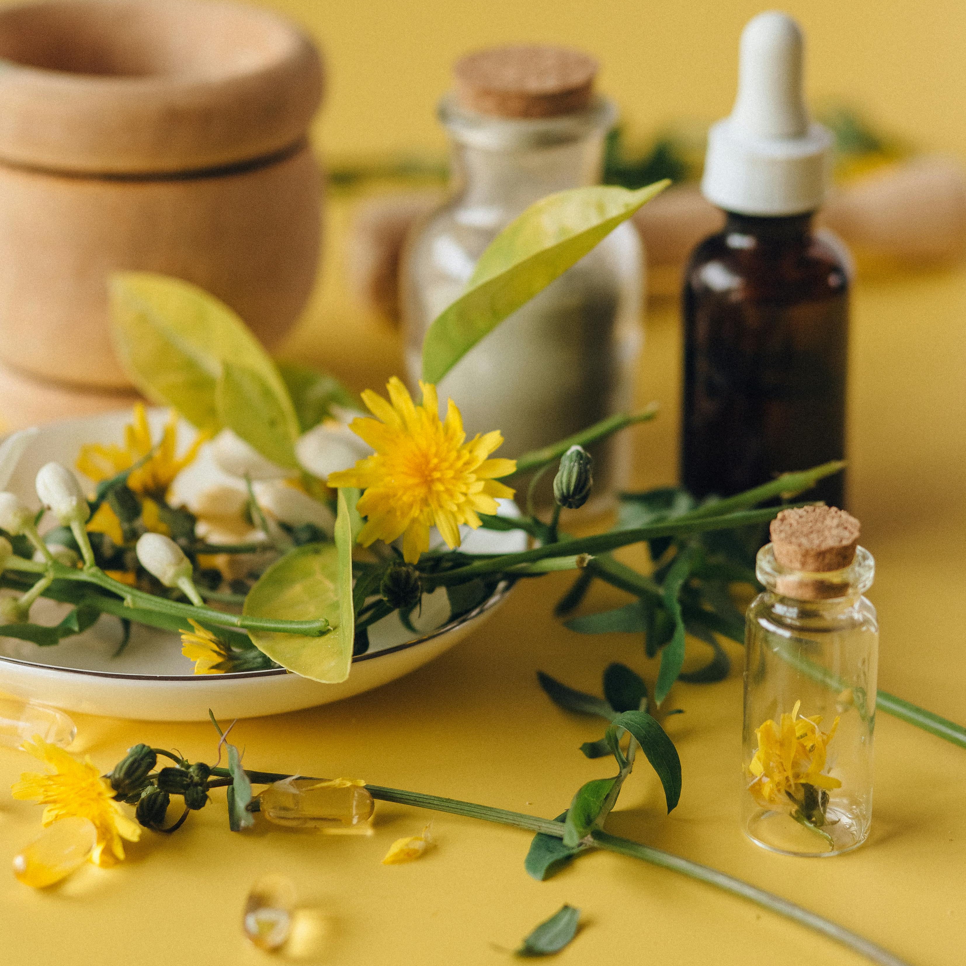 Regenerative detoxification coaching | Marga Jacobs