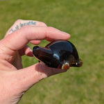 Barnsteen schildpad 1 – curated crystal by Marga Jacobs | rust, symboliek en intuïtieve zelfzorg