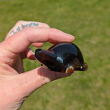 Barnsteen schildpad 1 – curated crystal by Marga Jacobs | rust, symboliek en intuïtieve zelfzorg