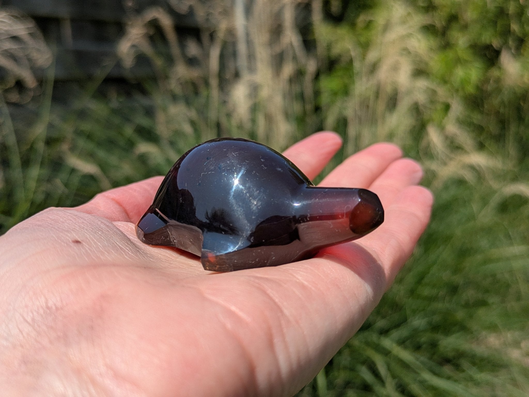 Barnsteen schildpad 1 – curated crystal by Marga Jacobs | rust, symboliek en intuïtieve zelfzorg