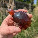 Barnsteen schildpad 2 – curated crystal by Marga Jacobs | rust, symboliek en intuïtieve zelfzorg