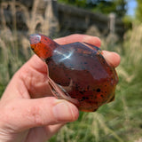 Barnsteen schildpad 2 – curated crystal by Marga Jacobs | rust, symboliek en intuïtieve zelfzorg
