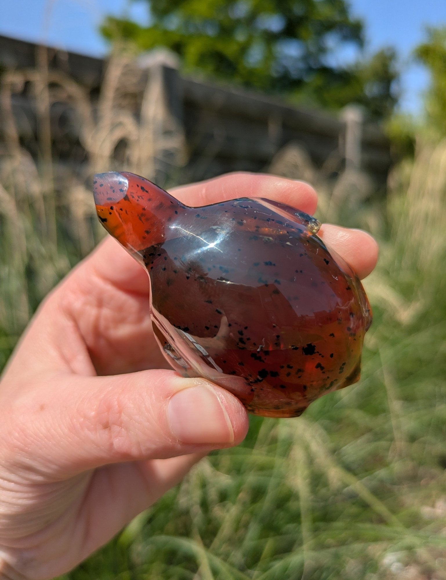 Barnsteen schildpad 2 – curated crystal by Marga Jacobs | rust, symboliek en intuïtieve zelfzorg