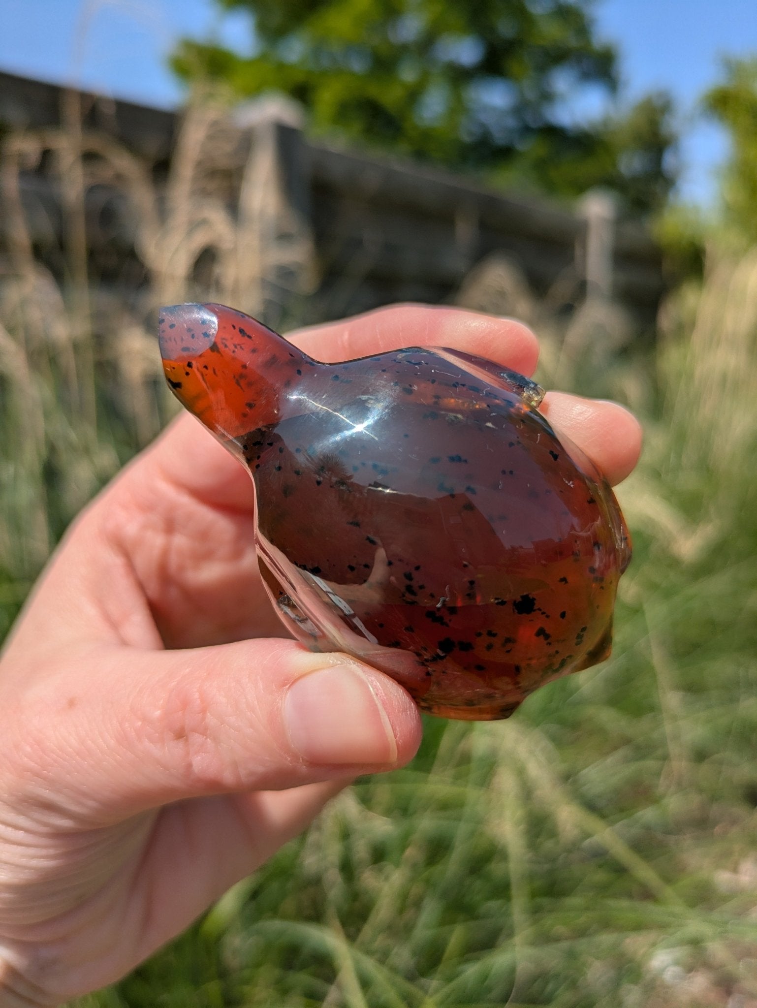 Barnsteen schildpad 2 – curated crystal by Marga Jacobs | rust, symboliek en intuïtieve zelfzorg
