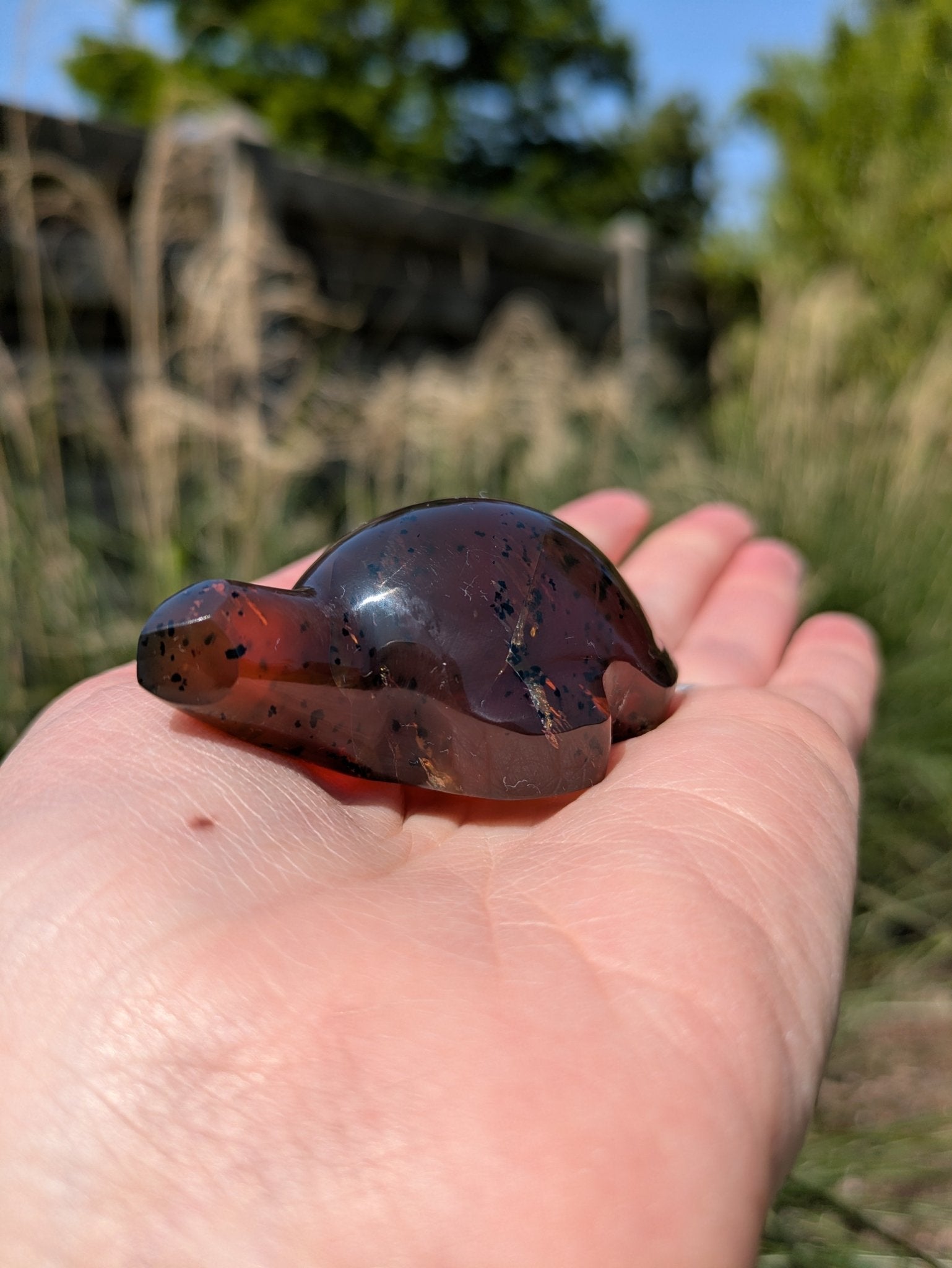 Barnsteen schildpad 2 – curated crystal by Marga Jacobs | rust, symboliek en intuïtieve zelfzorg