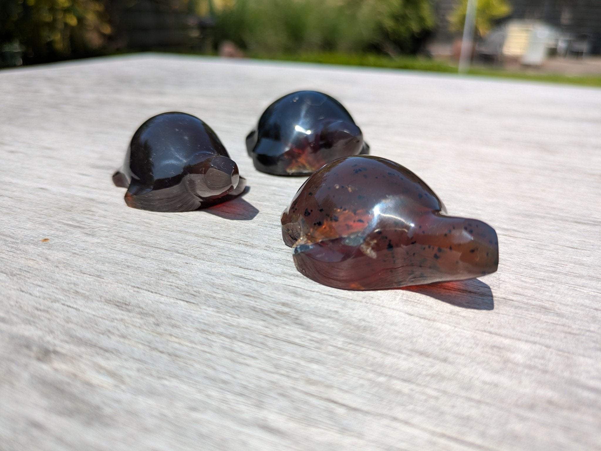 Barnsteen schildpad 2 – curated crystal by Marga Jacobs | rust, symboliek en intuïtieve zelfzorg
