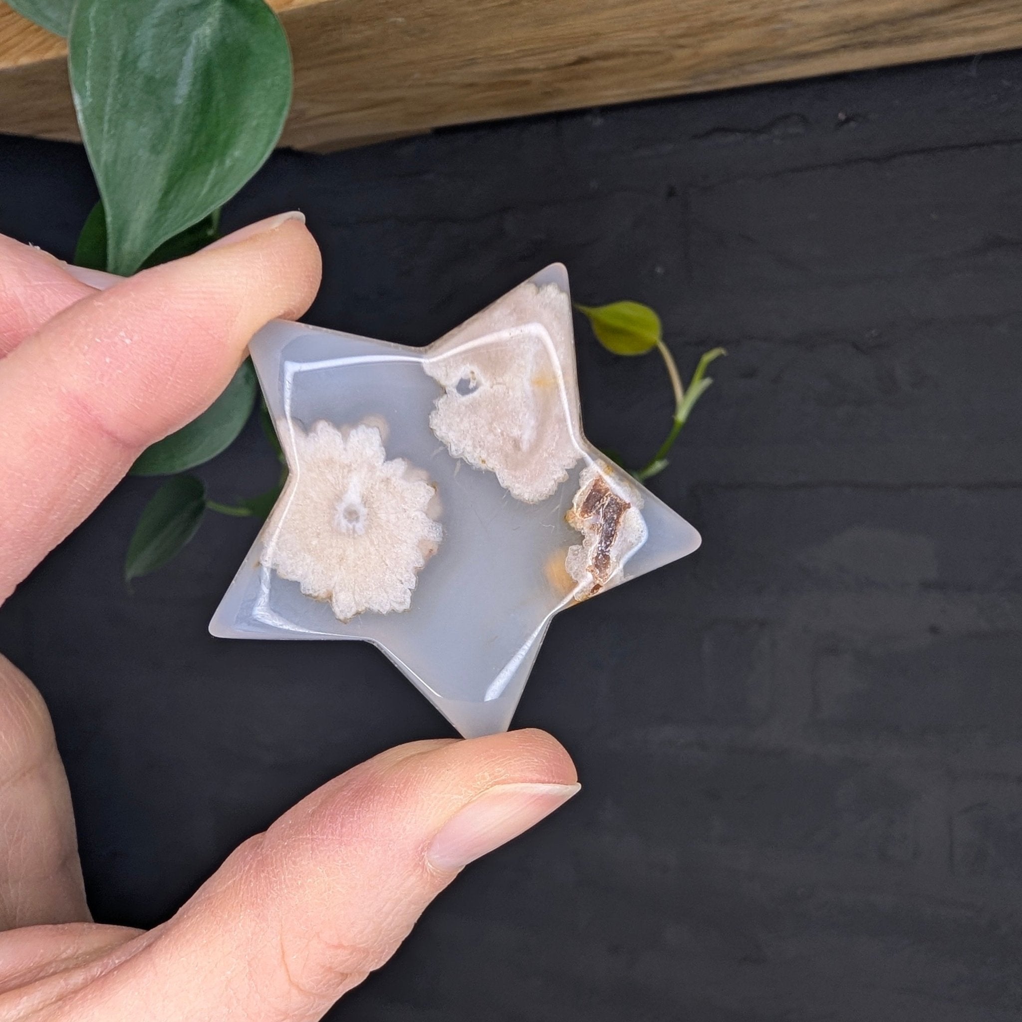 Bloemagaat ster – curated crystal by Marga Jacobs | rust, symboliek en intuïtieve zelfzorg