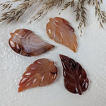 Carneool blad – curated crystal by Marga Jacobs | rust, symboliek en intuïtieve zelfzorg