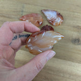 Carneool blad – curated crystal by Marga Jacobs | rust, symboliek en intuïtieve zelfzorg