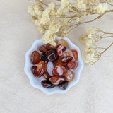 Carneool splitsteentjes ✦ 20 g