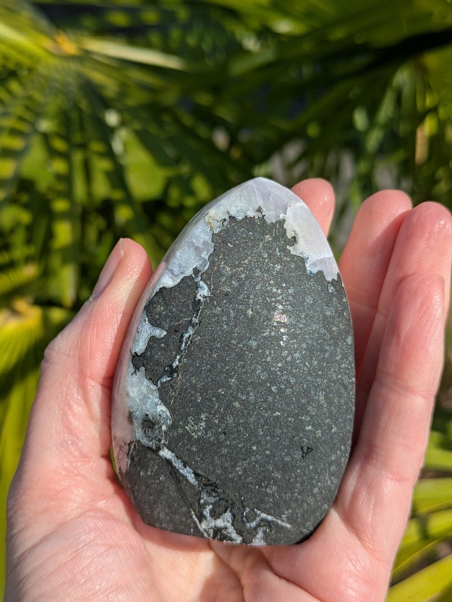 Celestien met zwarte matrix – Vrije vorm 1 (219 g) – curated crystal by Marga Jacobs | rust, symboliek en intuïtieve zelfzorg