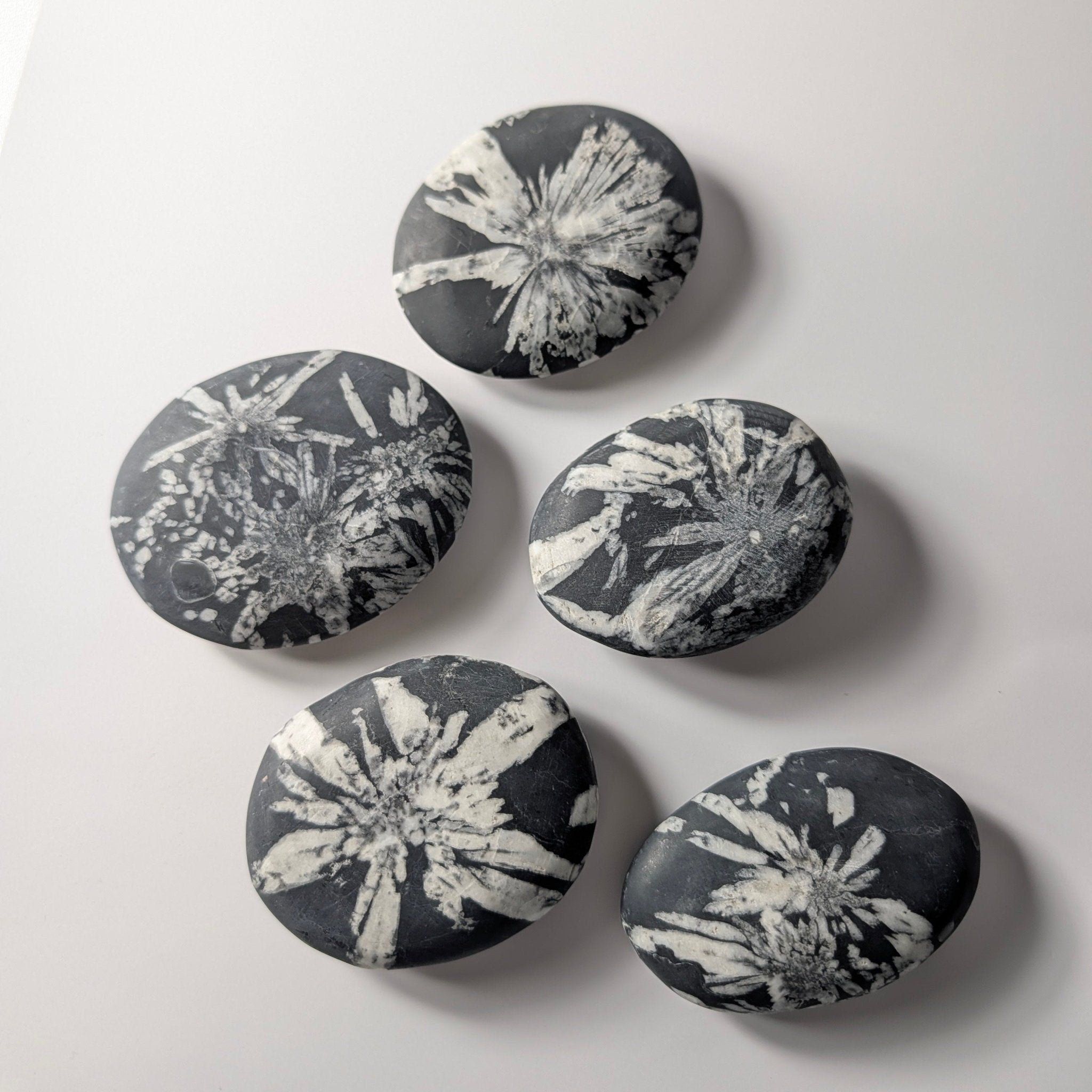 Chrysanthemum Stone palmsteen – bijzondere edelsteen, zorgvuldig gekozen door Marga Jacobs