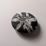 Chrysanthemum Stone palmsteen – bijzondere edelsteen, zorgvuldig gekozen door Marga Jacobs