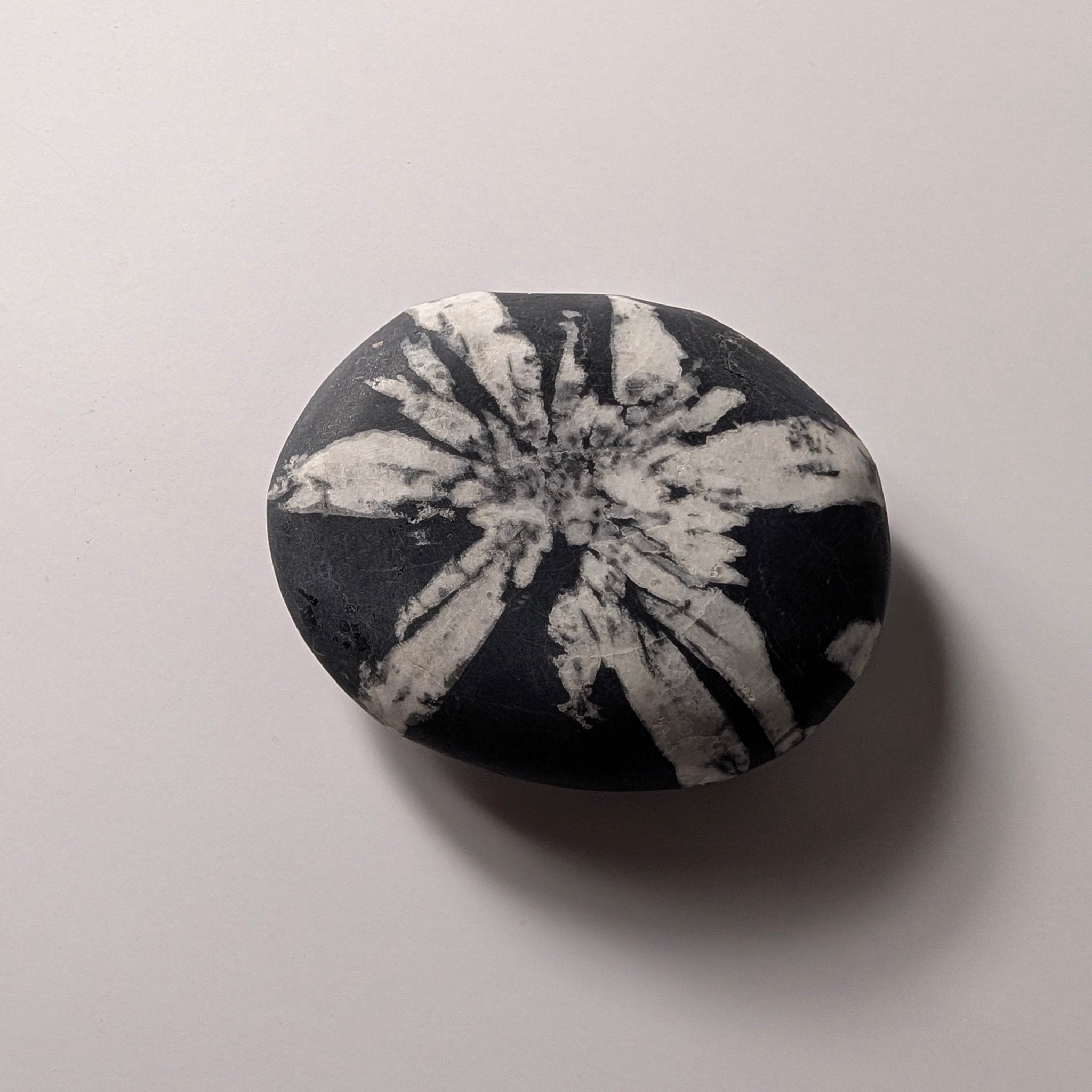 Chrysanthemum Stone palmsteen – bijzondere edelsteen, zorgvuldig gekozen door Marga Jacobs