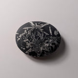 Chrysanthemum Stone palmsteen – bijzondere edelsteen, zorgvuldig gekozen door Marga Jacobs