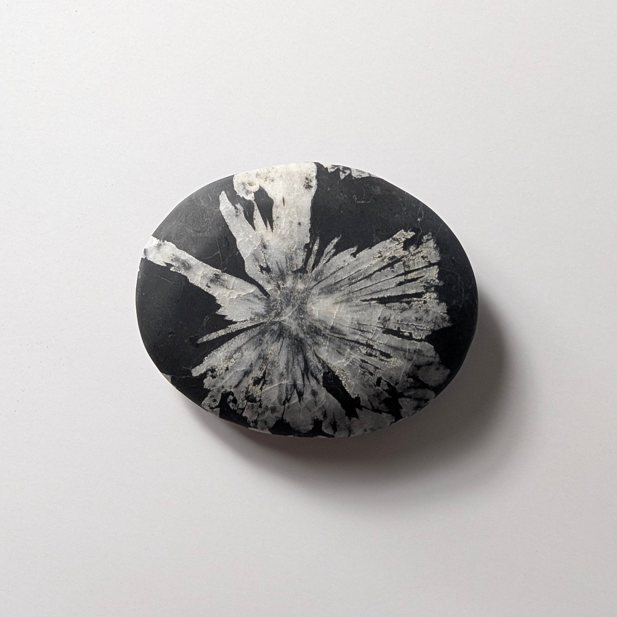 Chrysanthemum Stone palmsteen – bijzondere edelsteen, zorgvuldig gekozen door Marga Jacobs