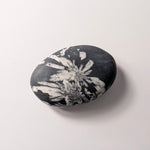 Chrysanthemum Stone palmsteen – bijzondere edelsteen, zorgvuldig gekozen door Marga Jacobs