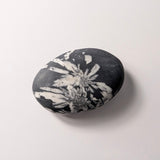Chrysanthemum Stone palmsteen – bijzondere edelsteen, zorgvuldig gekozen door Marga Jacobs