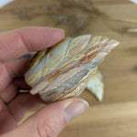 Crazy Lace agaat blad – curated crystal by Marga Jacobs | rust, symboliek en intuïtieve zelfzorg