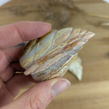 Crazy Lace agaat blad – curated crystal by Marga Jacobs | rust, symboliek en intuïtieve zelfzorg