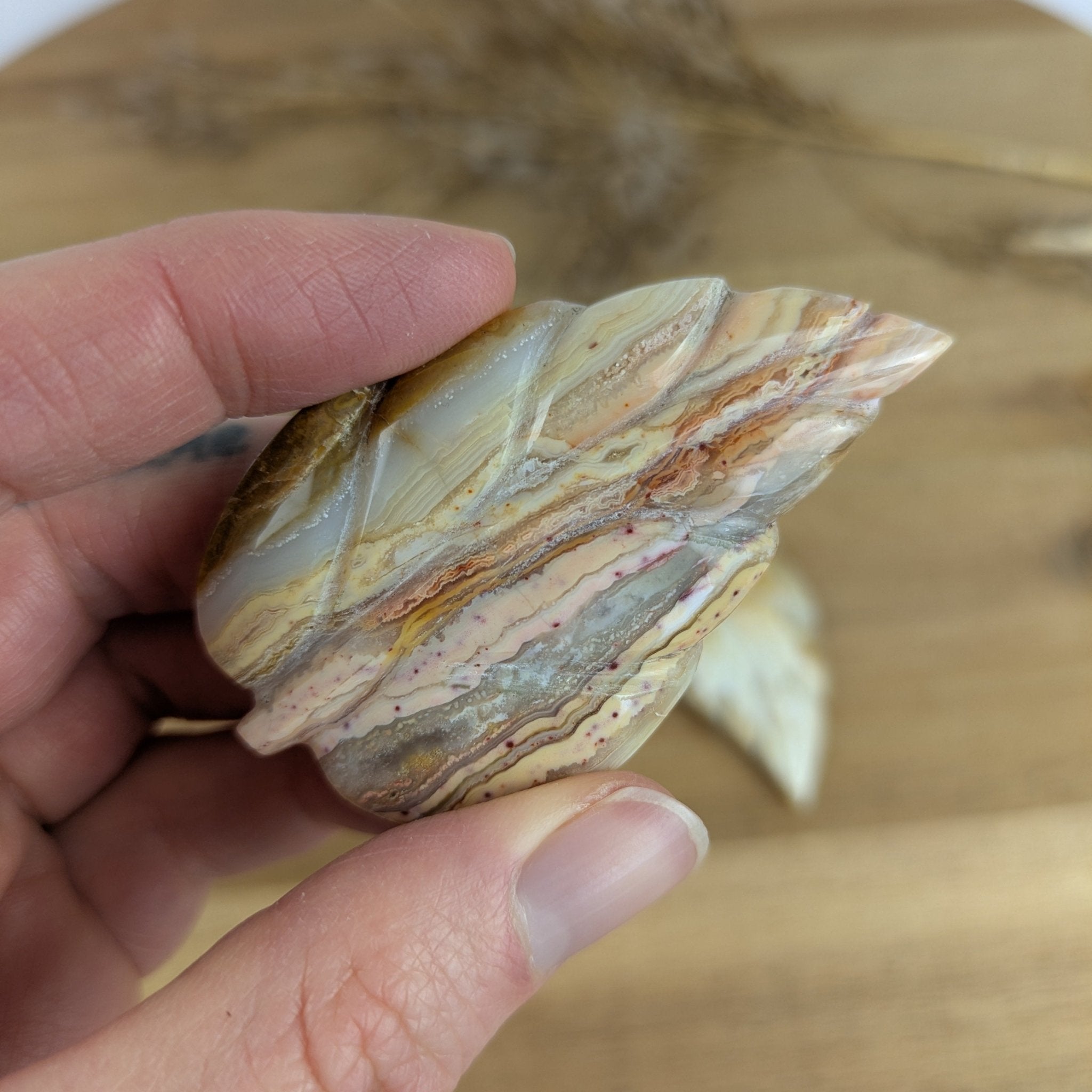 Crazy Lace agaat blad – curated crystal by Marga Jacobs | rust, symboliek en intuïtieve zelfzorg