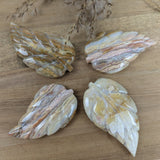 Crazy Lace agaat blad – curated crystal by Marga Jacobs | rust, symboliek en intuïtieve zelfzorg