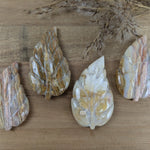 Crazy Lace agaat blad – curated crystal by Marga Jacobs | rust, symboliek en intuïtieve zelfzorg