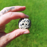 Dalmatiër jaspis trommelstenen – curated crystal by Marga Jacobs | rust, symboliek en intuïtieve zelfzorg