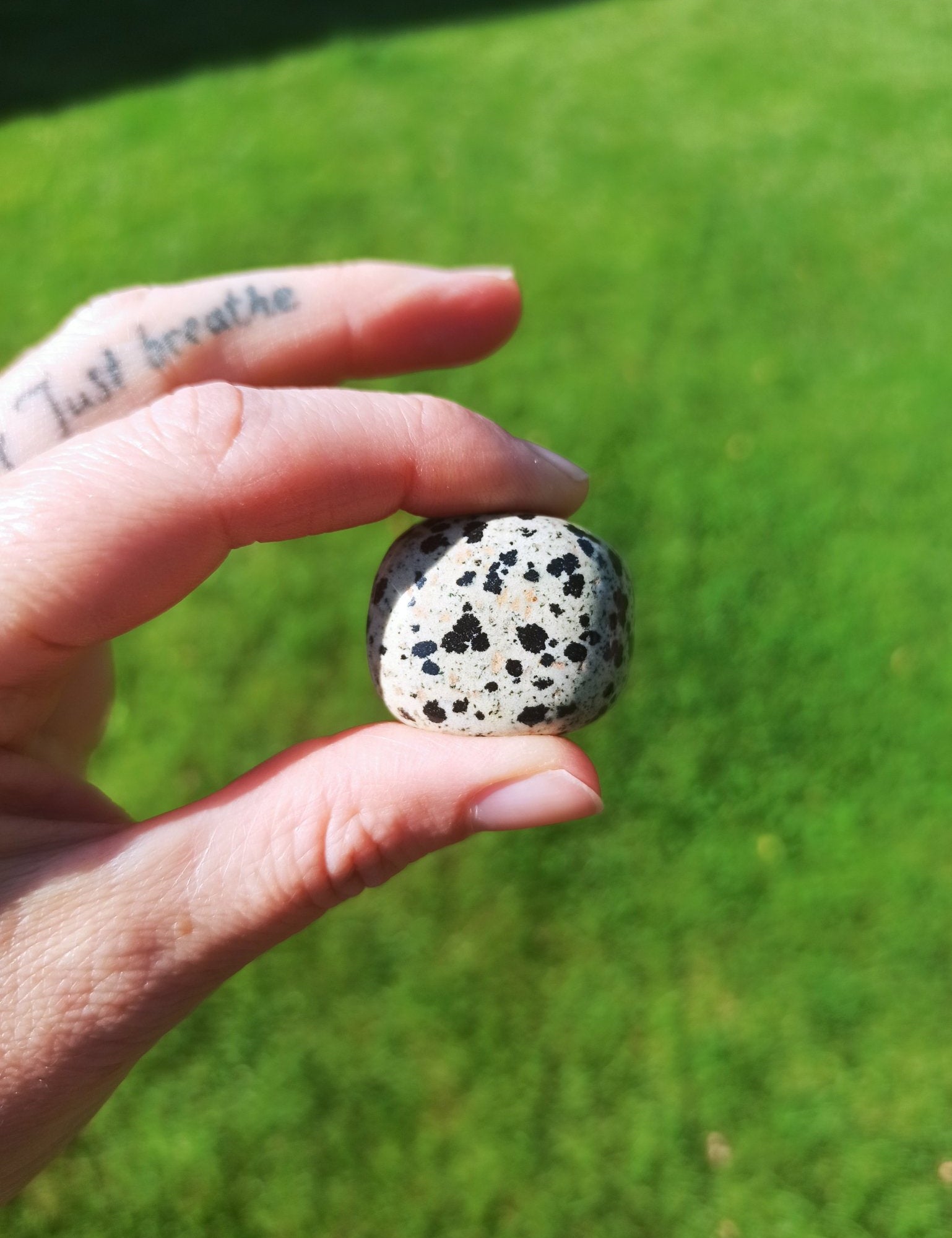 Dalmatiër jaspis trommelstenen – curated crystal by Marga Jacobs | rust, symboliek en intuïtieve zelfzorg