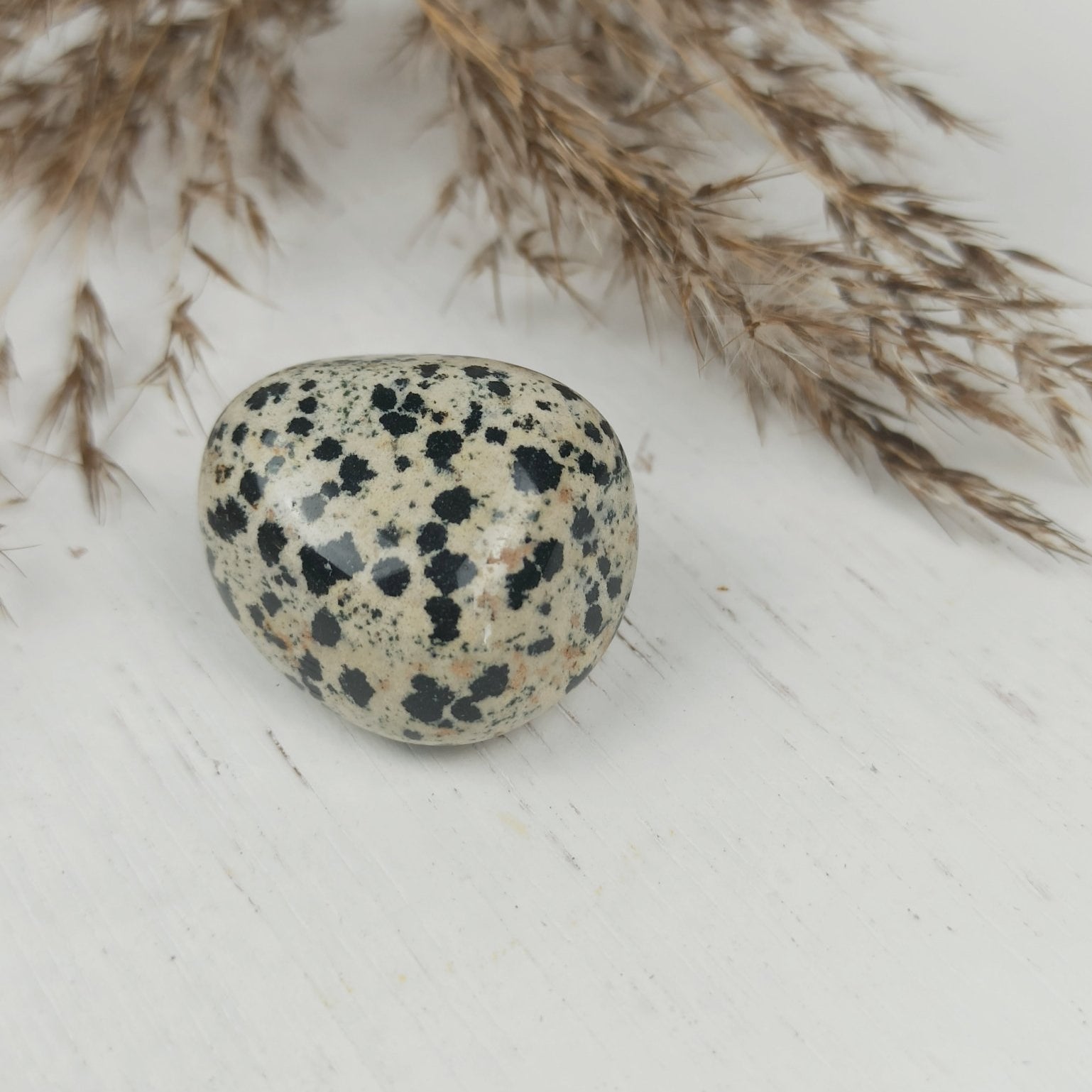 Dalmatiër jaspis trommelstenen – curated crystal by Marga Jacobs | rust, symboliek en intuïtieve zelfzorg