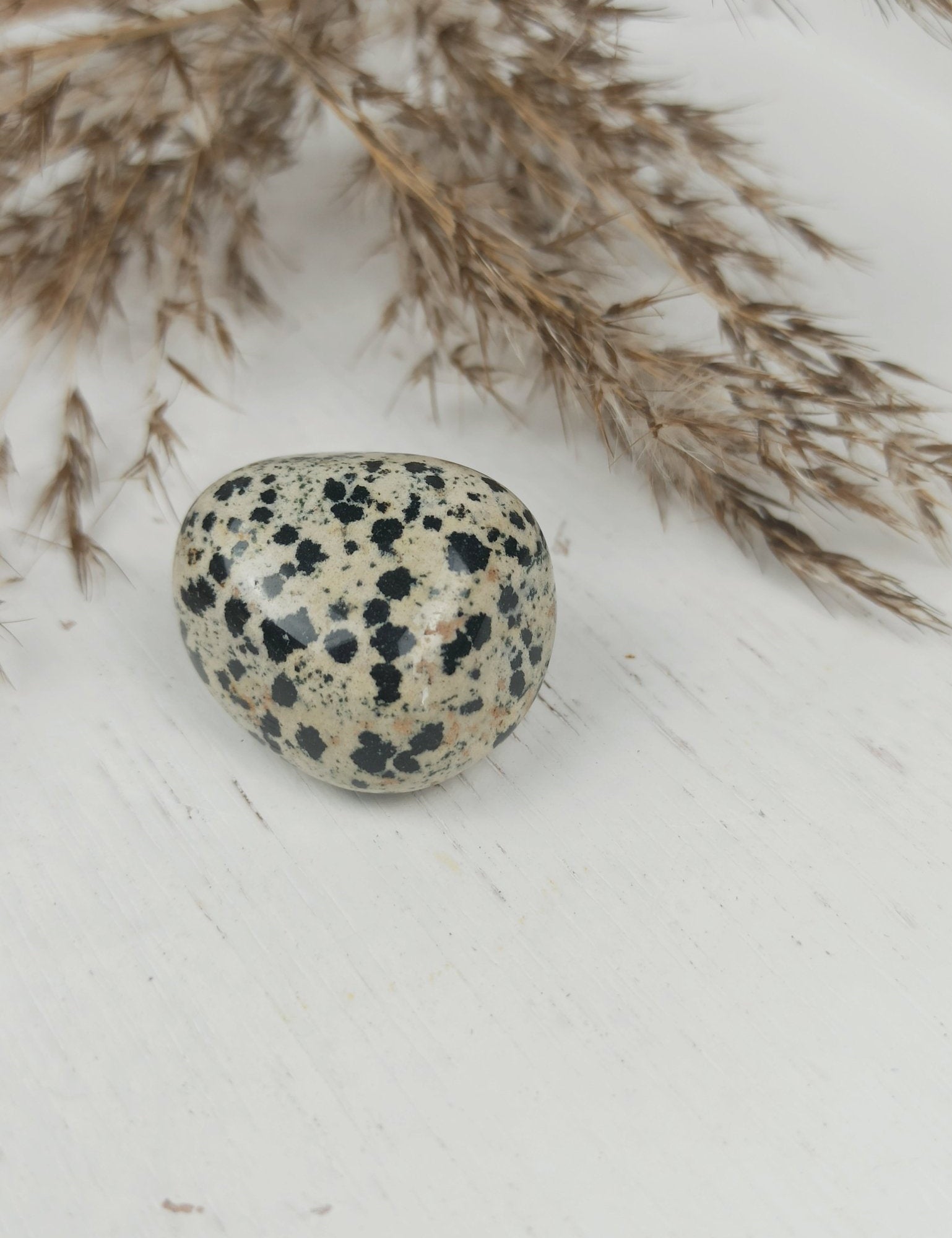 Dalmatiër jaspis trommelstenen – curated crystal by Marga Jacobs | rust, symboliek en intuïtieve zelfzorg