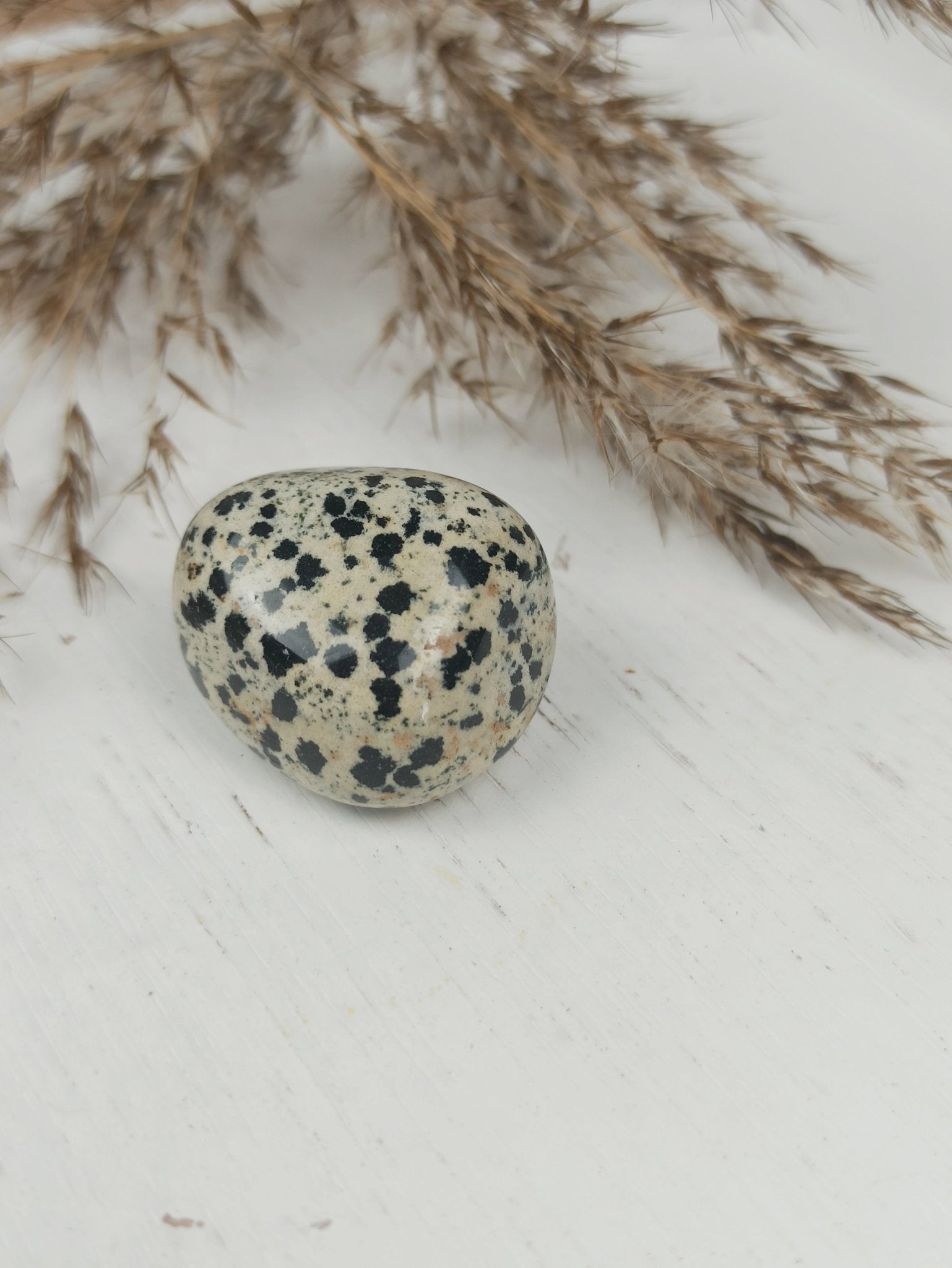 Dalmatiër jaspis trommelstenen – curated crystal by Marga Jacobs | rust, symboliek en intuïtieve zelfzorg