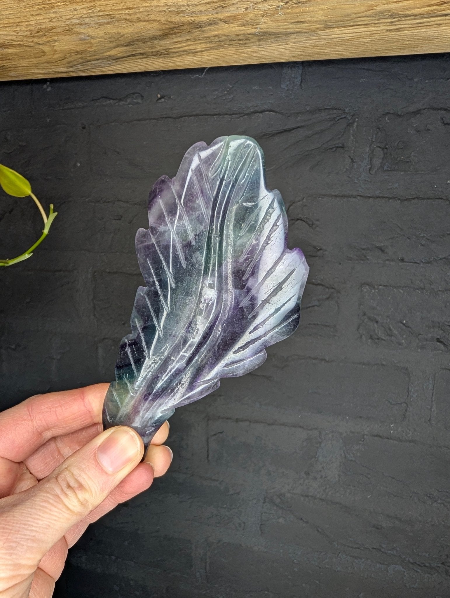 Fluoriet veer – curated crystal by Marga Jacobs | rust, symboliek en intuïtieve zelfzorg