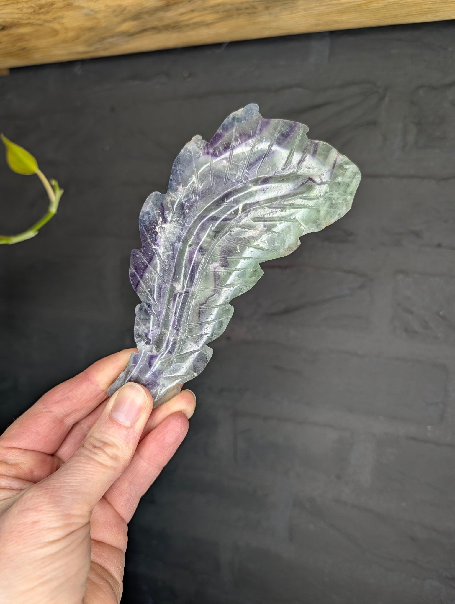Fluoriet veer – curated crystal by Marga Jacobs | rust, symboliek en intuïtieve zelfzorg
