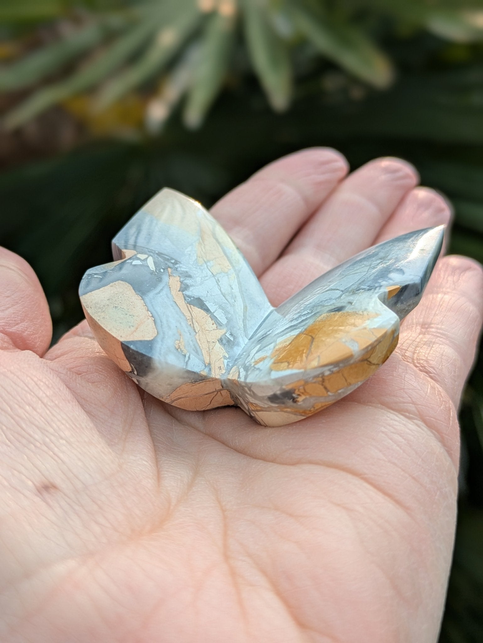 Maligano jaspis vlinder – curated crystal by Marga Jacobs | rust, symboliek en intuïtieve zelfzorg