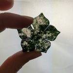 Mosagaat bloemetje – curated crystal by Marga Jacobs | rust, symboliek en intuïtieve zelfzorg