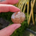 Oog van Shiva agaat – curated crystal by Marga Jacobs | rust, symboliek en intuïtieve zelfzorg