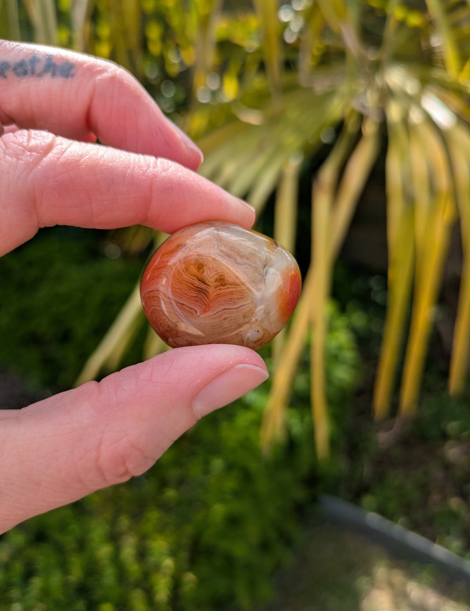 Oog van Shiva agaat – curated crystal by Marga Jacobs | rust, symboliek en intuïtieve zelfzorg