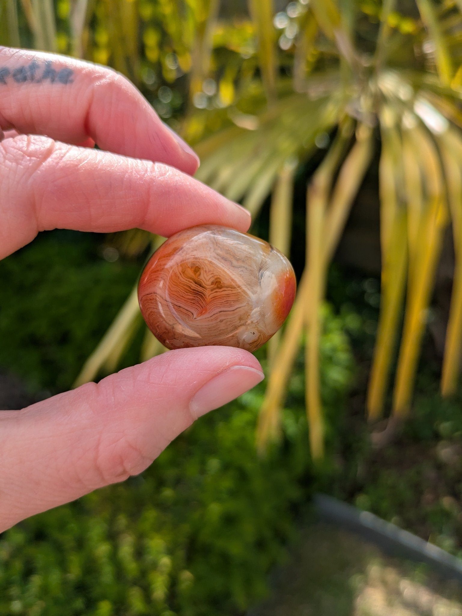 Oog van Shiva agaat – curated crystal by Marga Jacobs | rust, symboliek en intuïtieve zelfzorg