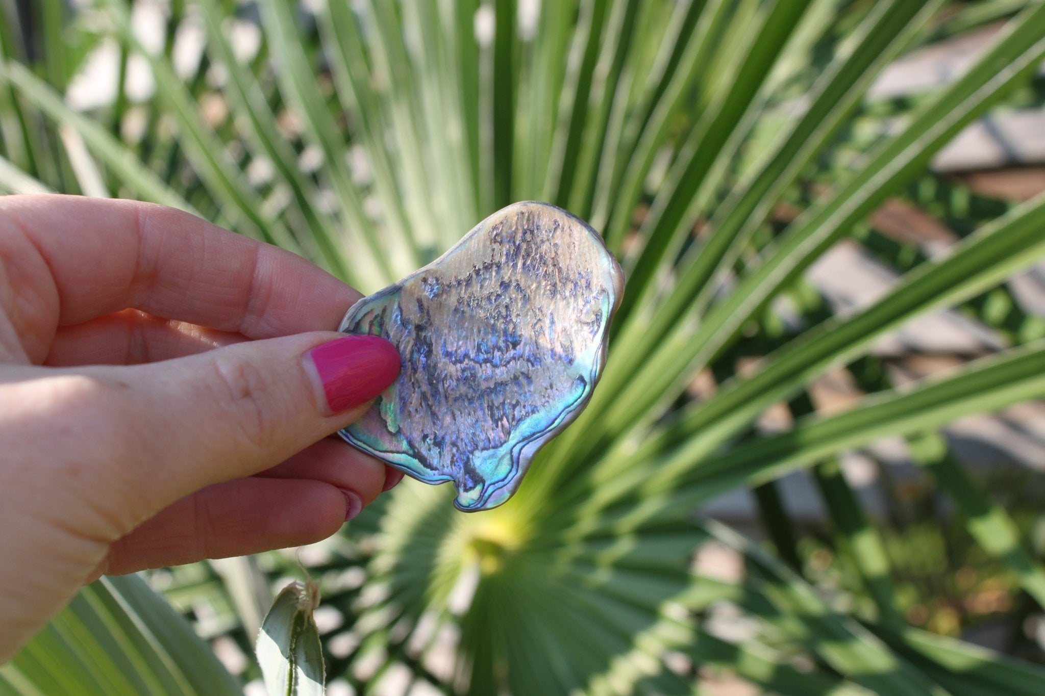 Paua opaal – curated crystal by Marga Jacobs | rust, symboliek en intuïtieve zelfzorg