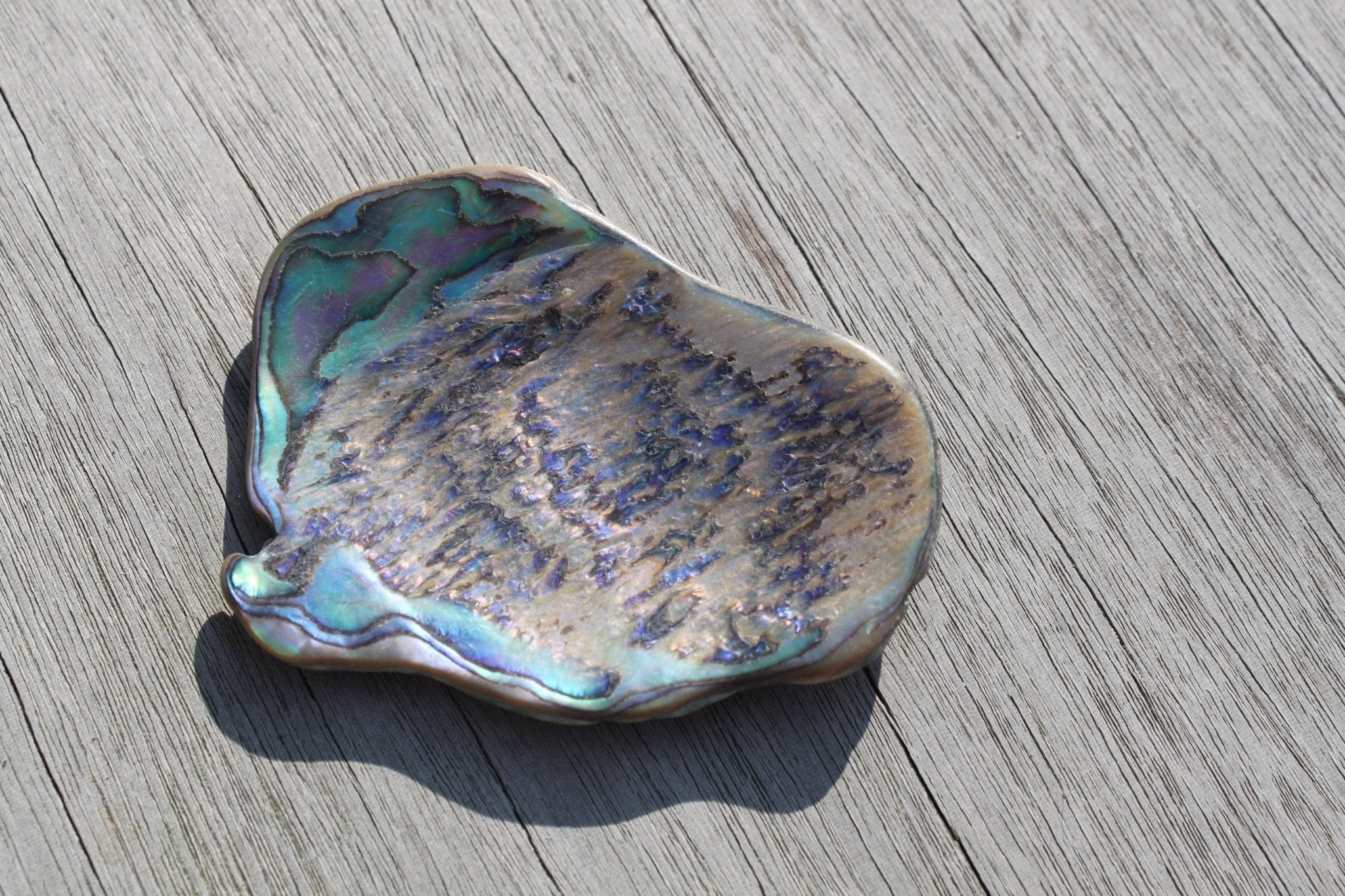 Paua opaal – curated crystal by Marga Jacobs | rust, symboliek en intuïtieve zelfzorg