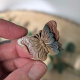 Polychroom jaspis vlinder