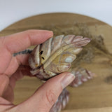 Polychroom jaspis blad – curated crystal by Marga Jacobs | rust, symboliek en intuïtieve zelfzorg