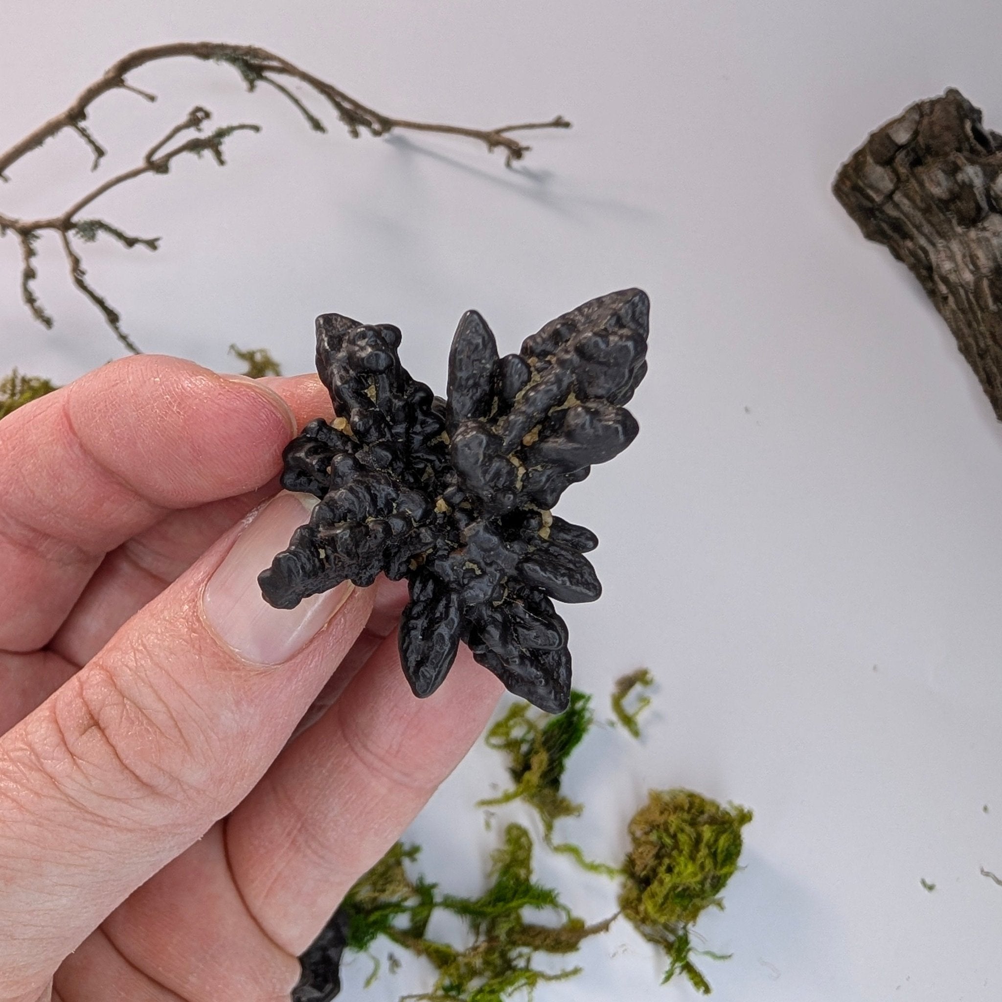 Prophecy Stone – bijzondere edelsteen, zorgvuldig gekozen door Marga Jacobs