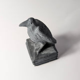 Zwarte obsidiaan raaf op boeken