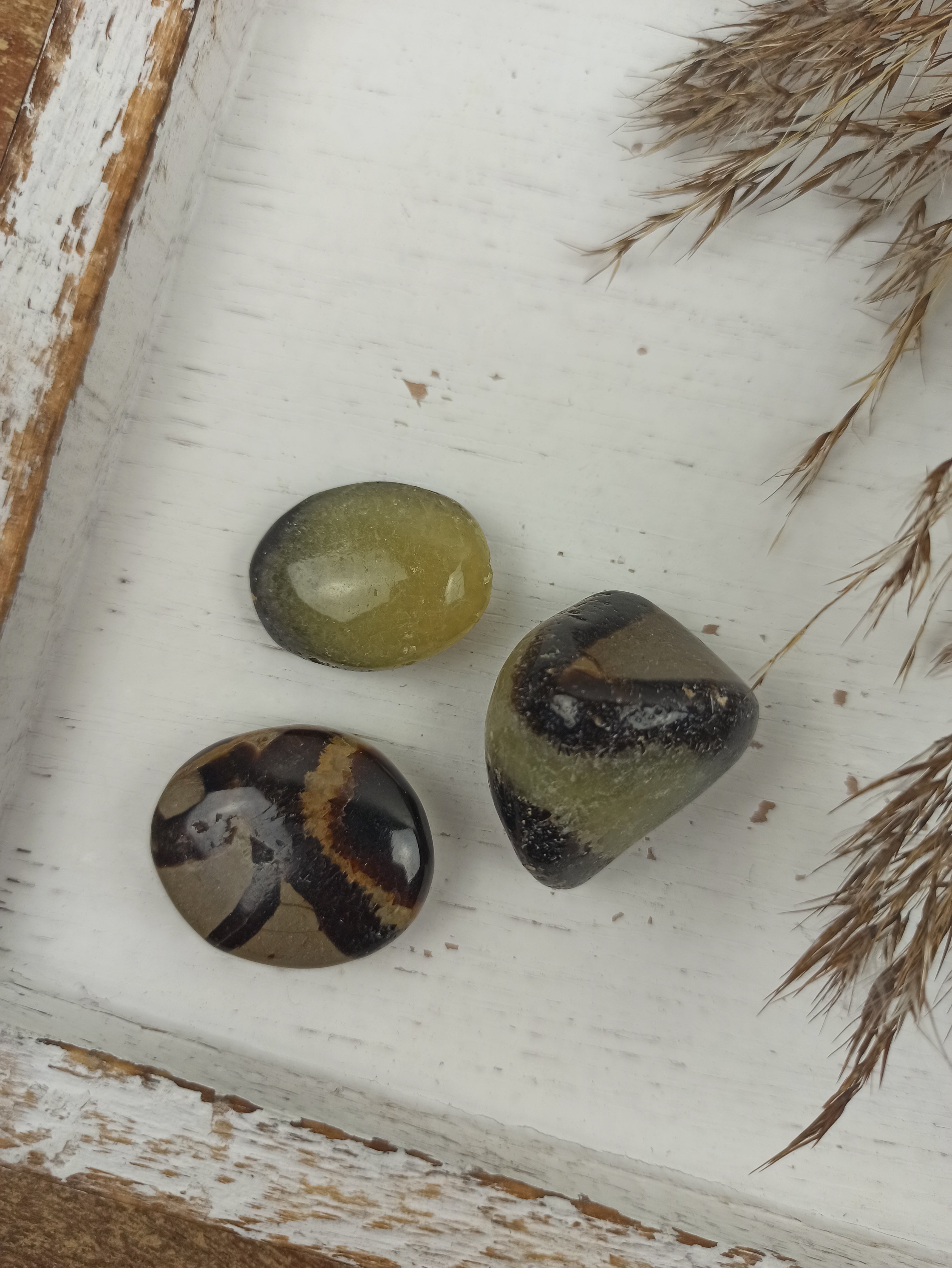 Septarian trommelstenen | Marga Jacobs