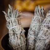Witte salie smudge sticks | Marga Jacobs